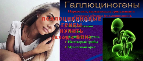 круглые Абаза
